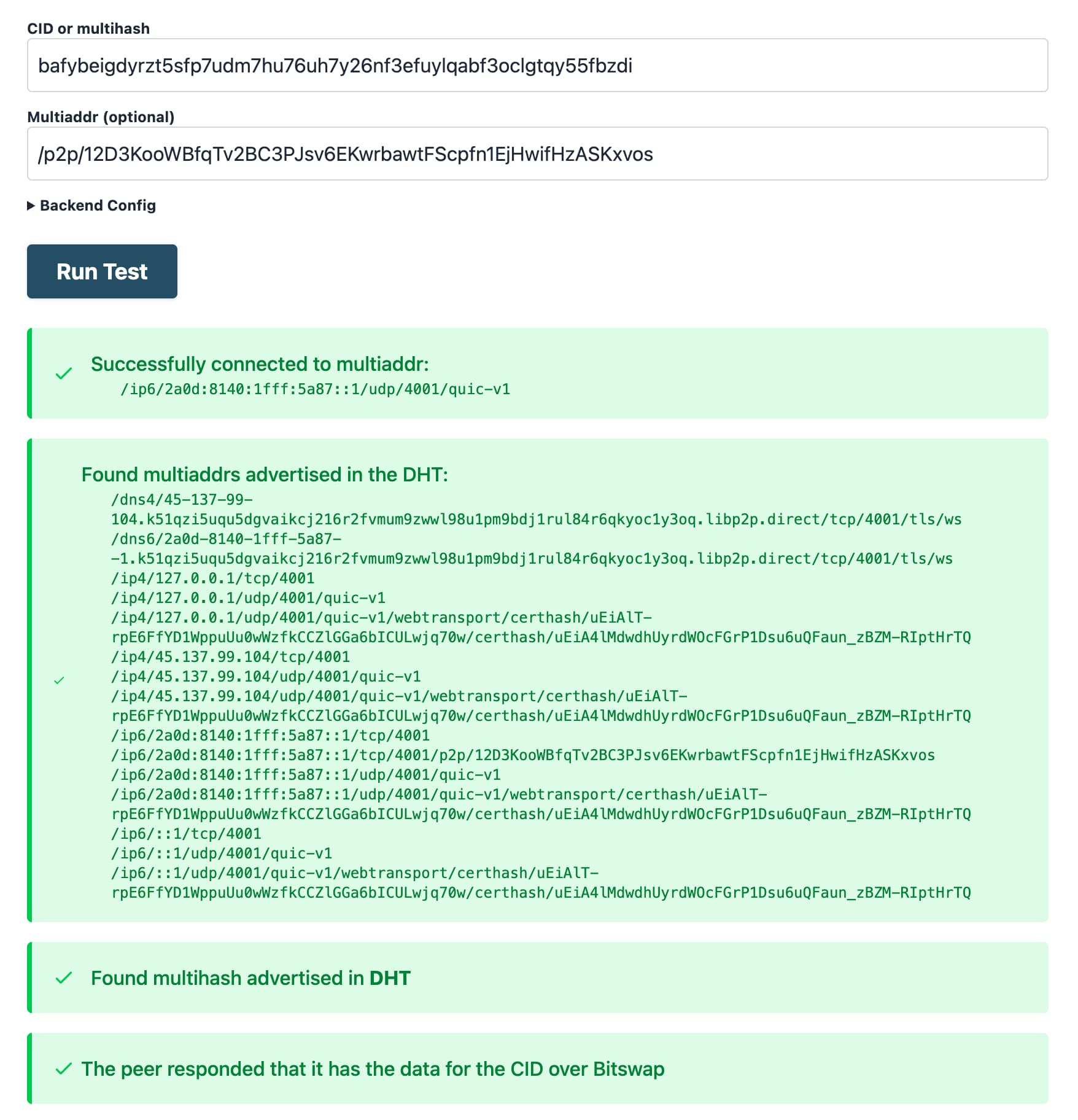 ipfs-check provider-specific check